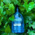 Sabonete Líquido Cremoso de Bétula - Erva Doce